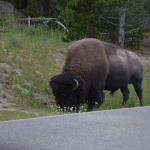 OTRA2013_1385 (July 15, 2013)